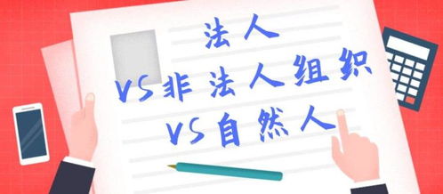 张槎食品证代办服务详解